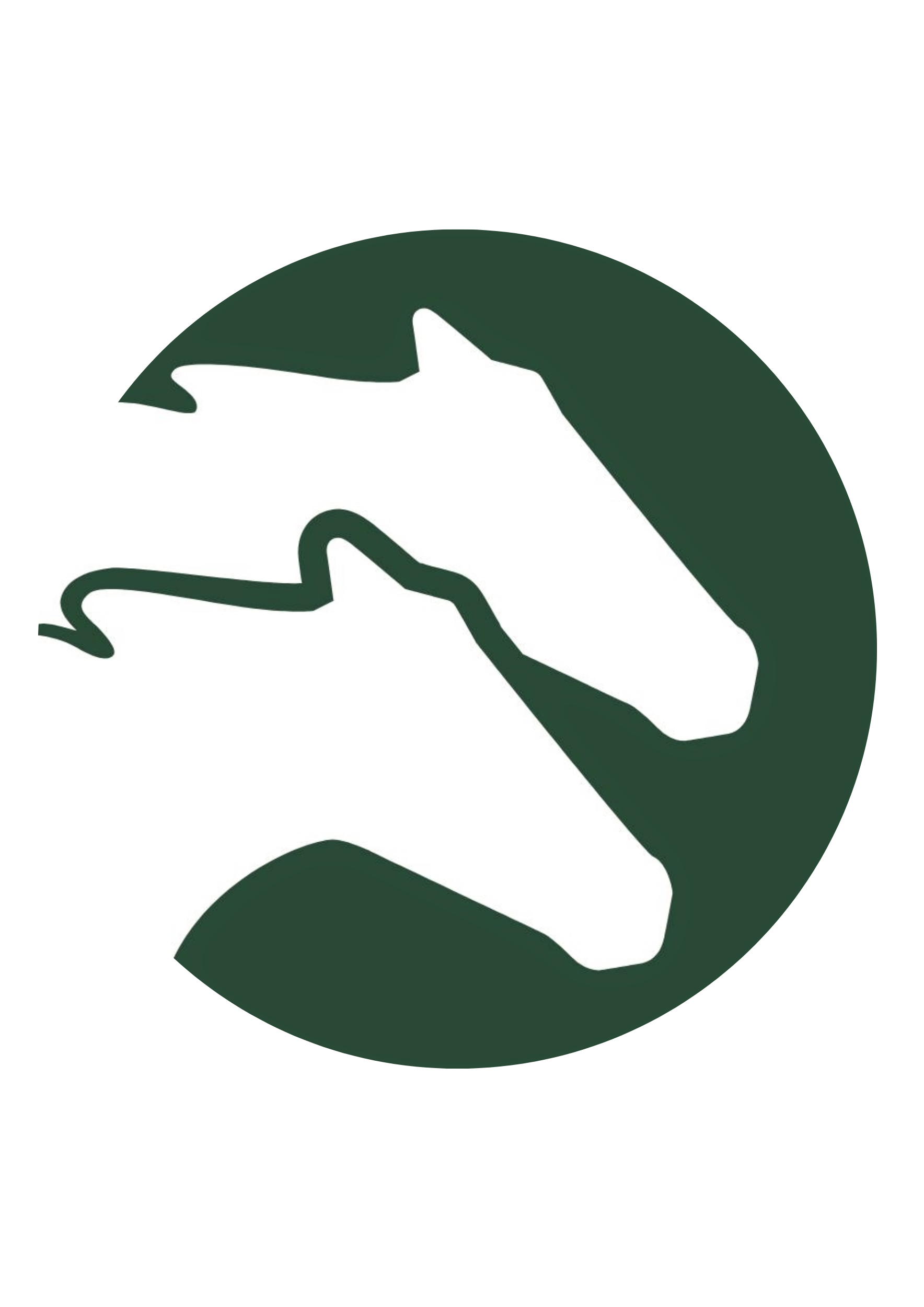 Helhed skabt med blik for muligheder